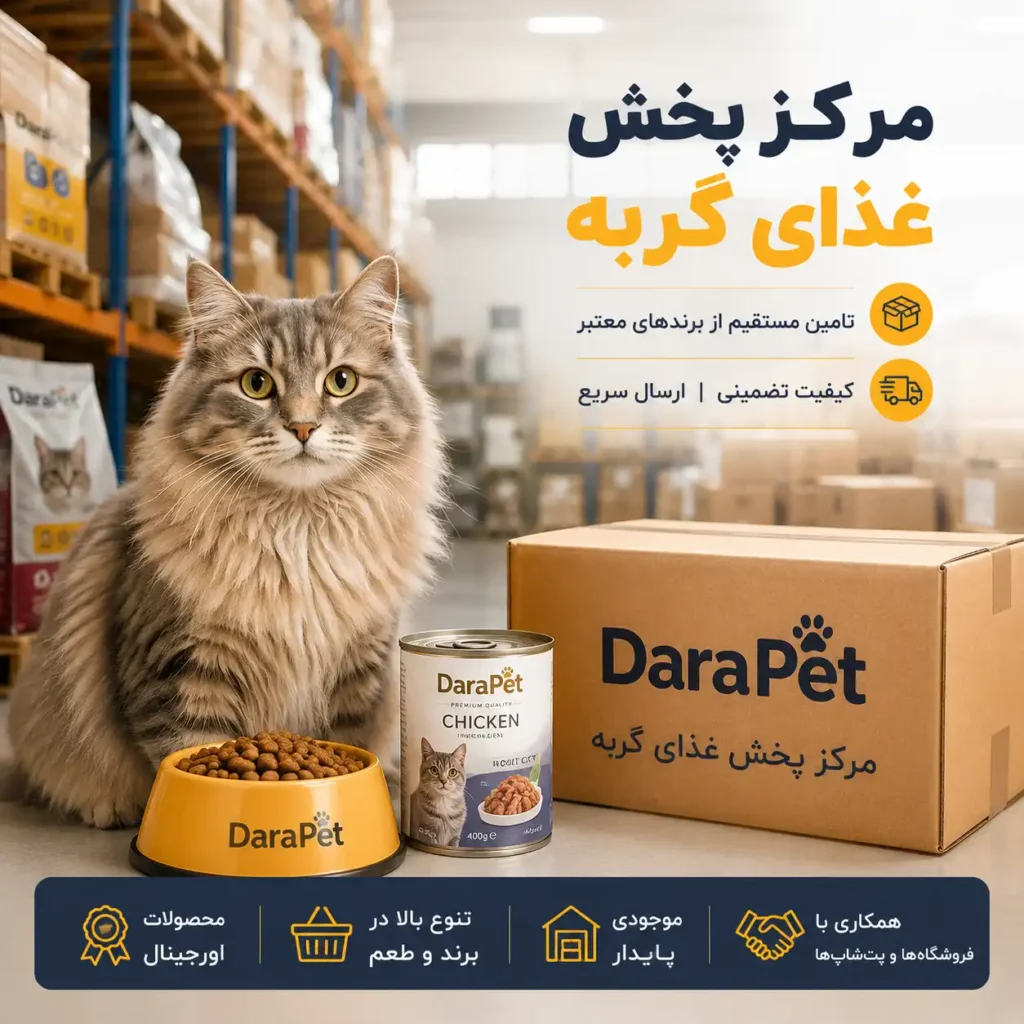وبلاگ غذای خشک گربه