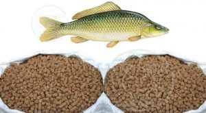 خرید غذای ماهی کپور در اصفهان