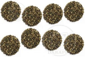 قیمت روز غذای ماهی کپور باکیفیت
