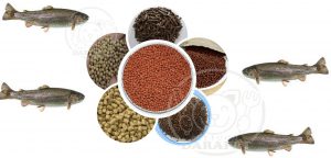 مرجع خرید غذای ماهی قزل آلا پرورشی ارزان