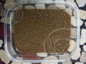 هر آنچه که باید از صادرات خوراک ماهی بدانیم