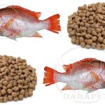 فروش ویژه خوراک ماهی گرمابی زیر قیمت بازار