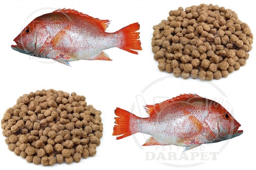 فروش ویژه خوراک ماهی گرمابی زیر قیمت بازار