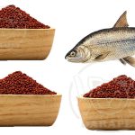 صادرات خوراک ماهی به کشورهای خاورمیانه