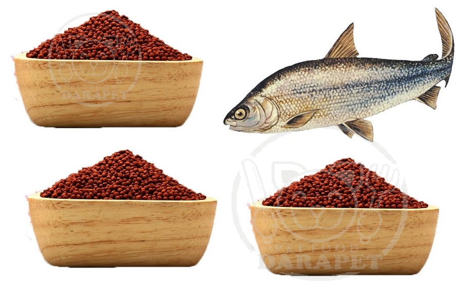 صادرات خوراک ماهی به کشورهای خاورمیانه