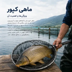 ماهی کپور