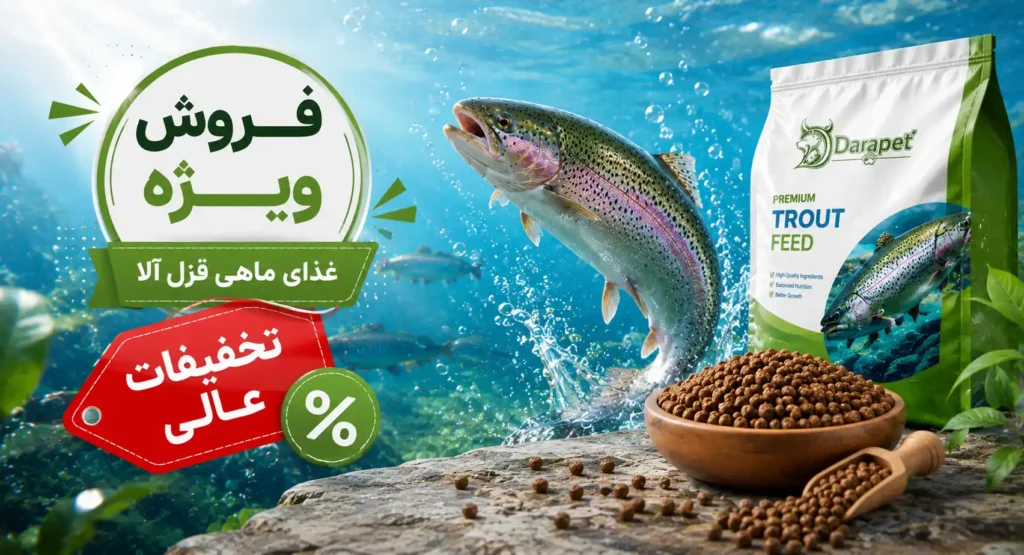 فروش ویژه ماهی قزل آلا با تخفیفات عالی