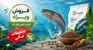 فروش ویژه ماهی قزل آلا با تخفیفات عالی