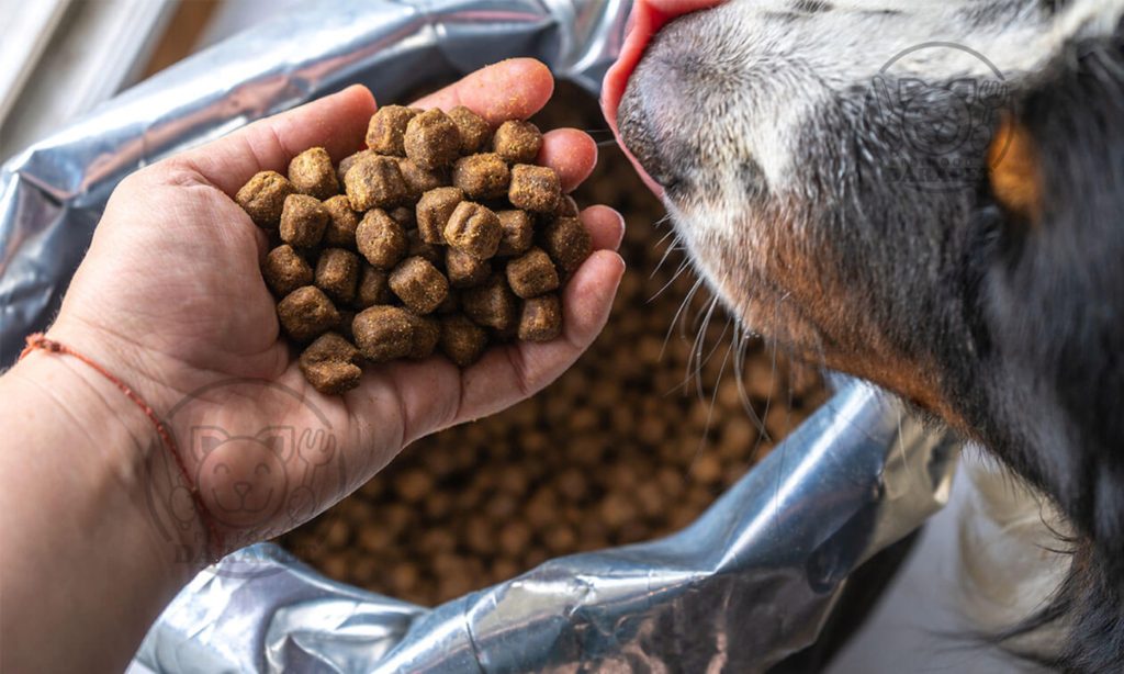 مرکز پخش غذای سگ ایرانی ارزان
