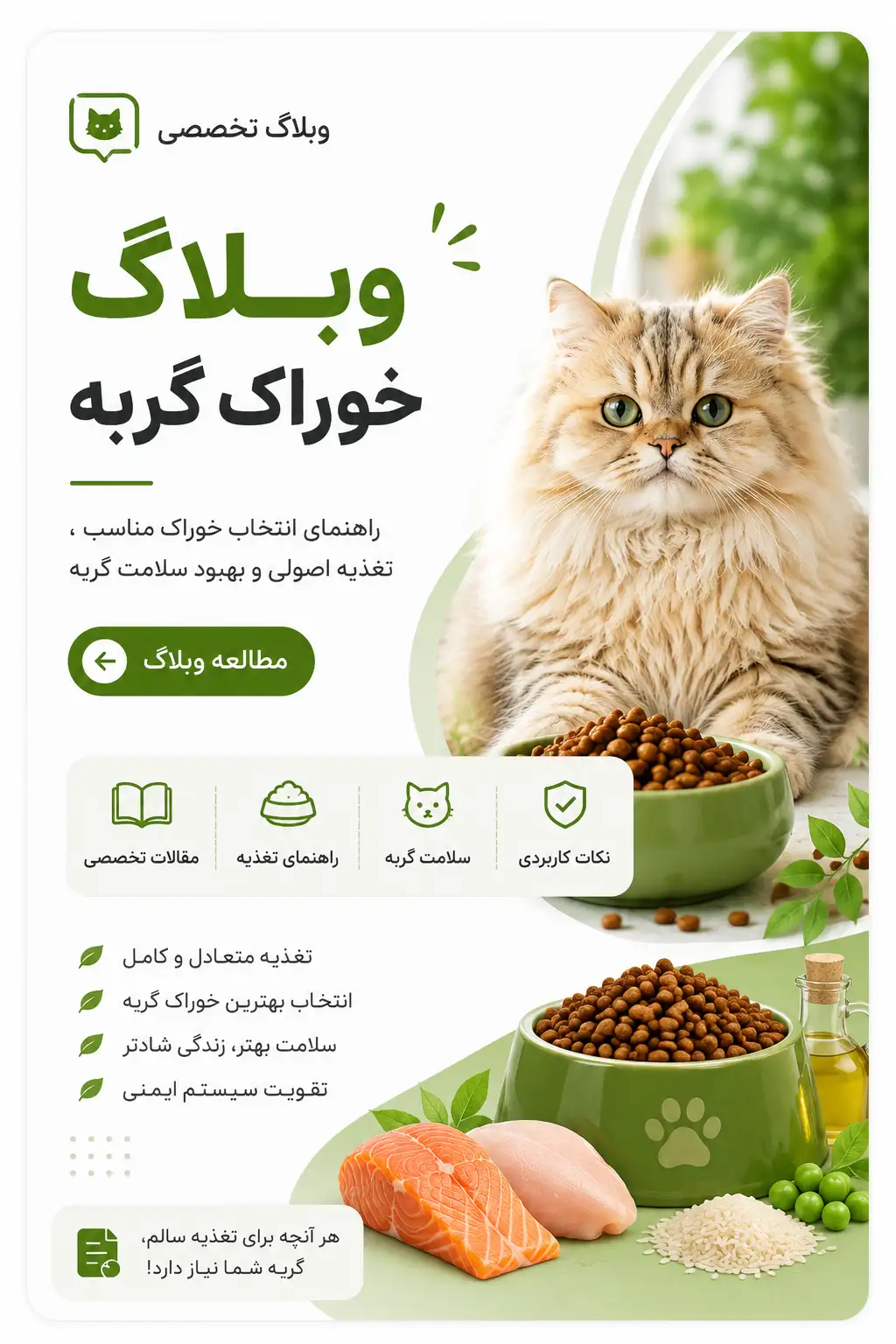 بنر وبلاگ گربه