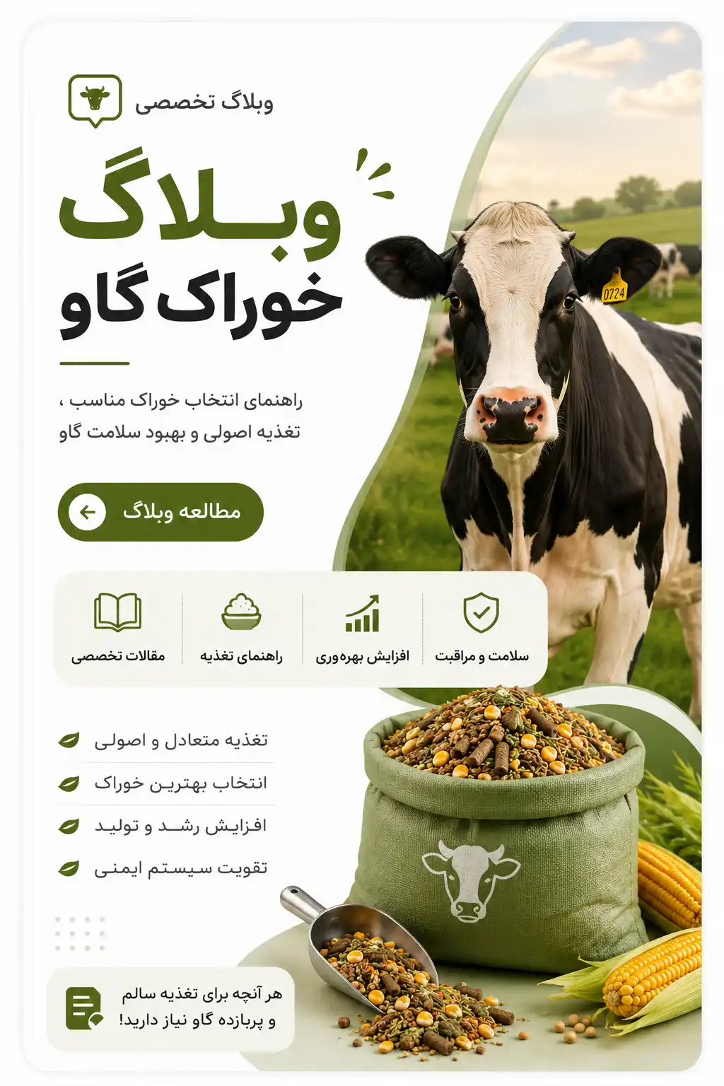 وبلاگ خوراک گاو